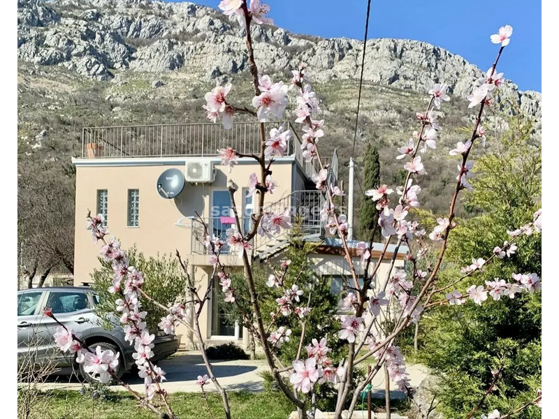 Prodaje se kuća sa baštom i prekrasnim pogledom na planinu u Šušnju, Bar