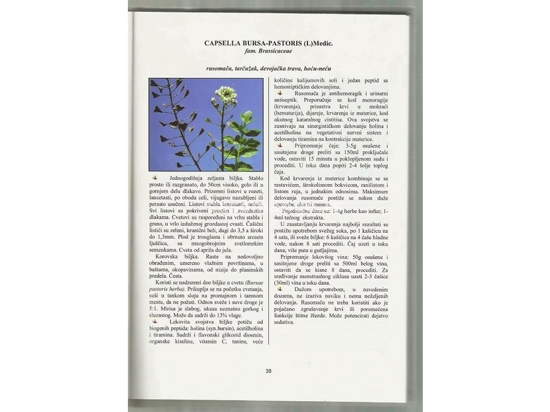 Knjiga – Naše neškodljive lekovite biljke