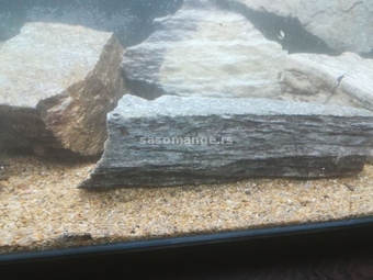 kamen za akvarijum - bela stena
