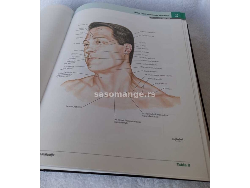 Atlas Anatomije Coveka ,Netter .7 izdanje
