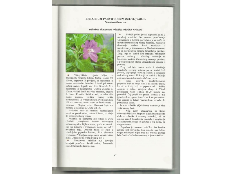 Knjiga – Naše neškodljive lekovite biljke