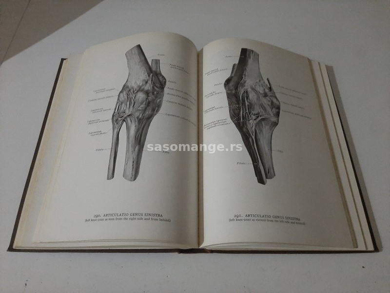 Atlas of Human Anatomy Woerdeman Volume I Osteology Arthrology and Myology