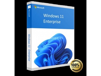 Windows 11 Enterprise 32/64bit licenca