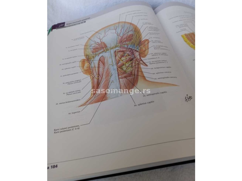 Atlas Anatomije Coveka ,Netter .7 izdanje