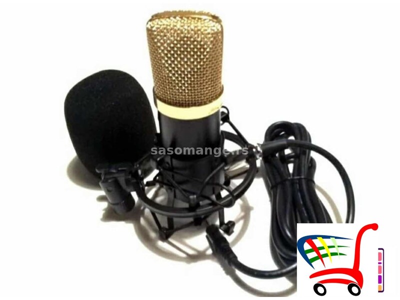 mikrofon studijski - BM - 700 kondenser microphone - mikrofon studijski - BM - 700 kondenser micr...