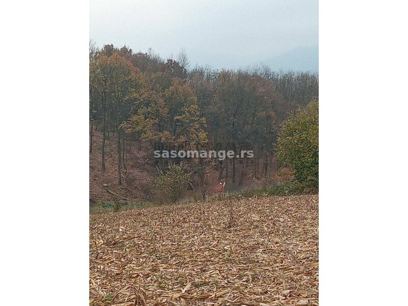 Poljoprivredno i šumsko zemljište u Kragujevcu, naselje Grošnica -1 ha i 86 ari