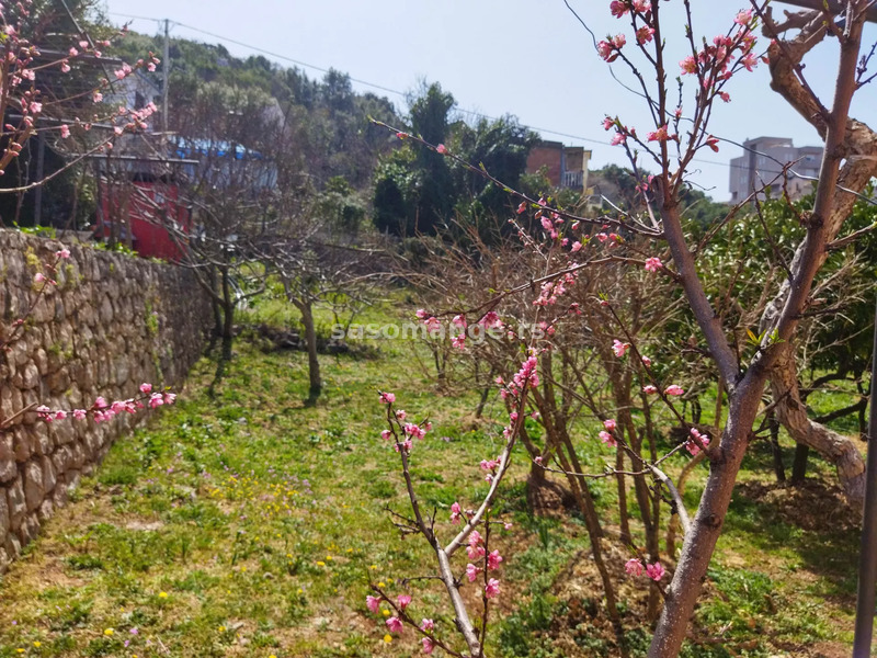 Trospratna kuca sa velikim placem, Utjeha