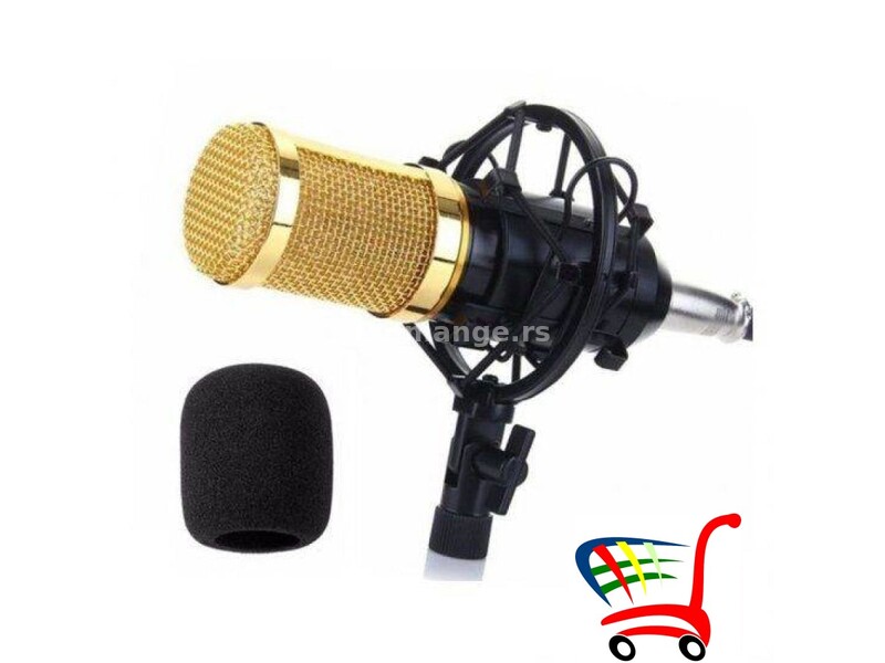 Profesionalan mikrofon - Profesionalan mikrofon