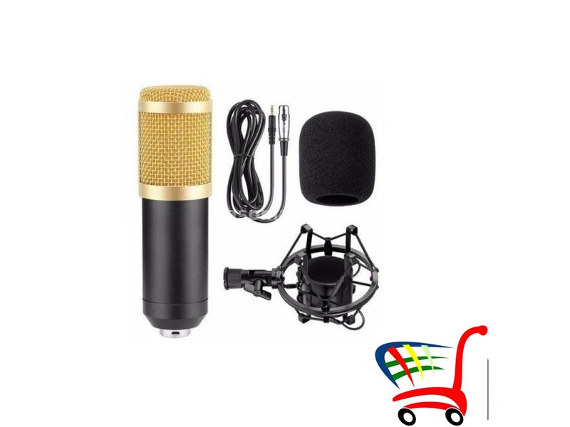 Profesionalni mikrofon (Vrhunski model) - Profesionalni mikrofon (Vrhunski model)