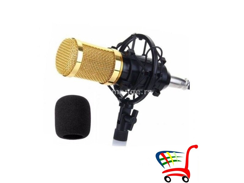 Profesionalni mikrofon (Vrhunski model) - Profesionalni mikrofon (Vrhunski model)