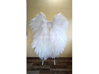 Krila anđela, iznajmljivanje i prodaja