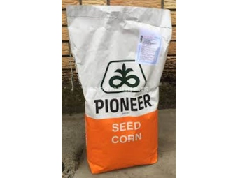 Semenski kukuruz pionir 9911