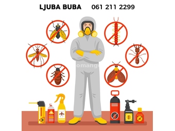 Dezinsekcija, dezinfekcija i deratizacija insekata / buba