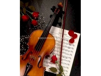 Časovi violine (svi nivoi) Mirjana