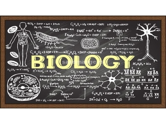 Privatni časovi biologije za osnovce i srednjoškolce