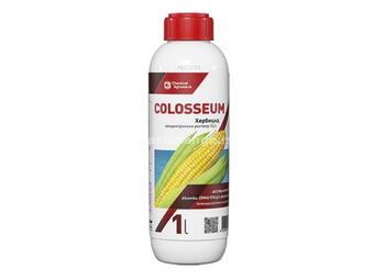 Colosseum 1 L