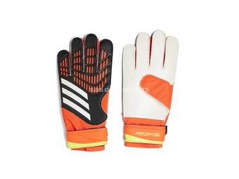 Predator Training Goalkeeper Gloves