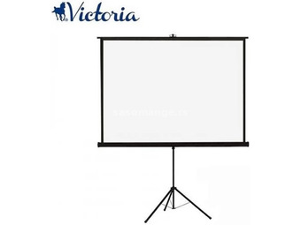 VICTORIA projection Screen portable 1:1 160x160 cm