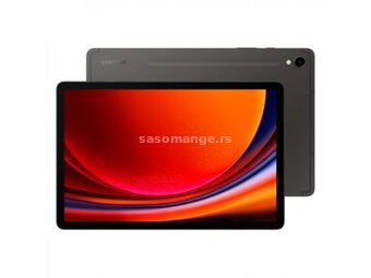 SAMSUNG Galaxy Tab S9 12/256GB WiFi (Gray SM-X710NZAEEUC)