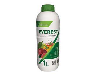 Everest 1 L