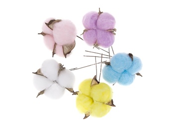 Cvetovi pamuka u boji - set 5 kom (sušeni cvetovi pamuka)