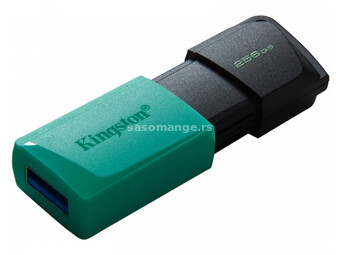 KINGSTON 256GB USB3.2 Gen1 DataTraveler Exodia M DTXM256GB