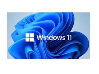 Microsoft WINDOWS 11 PRO 64BIT ENG INSTLOEM dsp dvd (fQC-10529)
