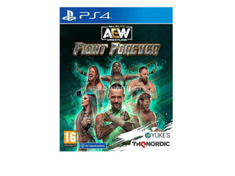 PS4 AEW: Fight Forever