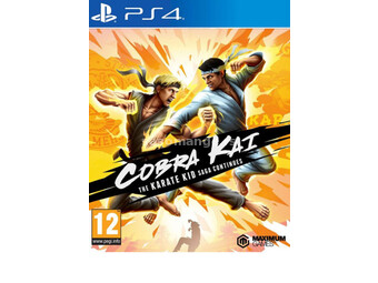 PS4 Cobra Kai: The Karate Kid Saga Continues ( 040919 )