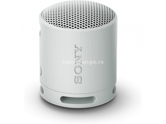 Sony SRSXB100H.CE7 sivi bežicni zvucnik
