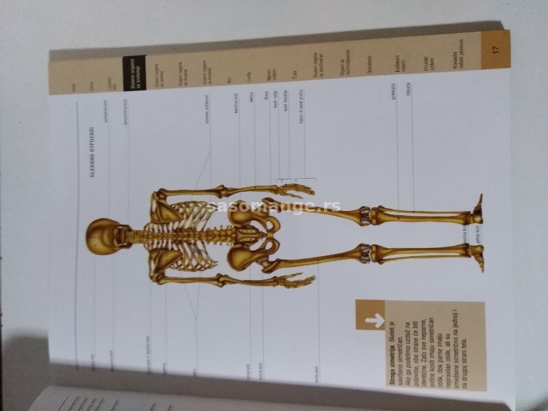 Školski anatomski atlas