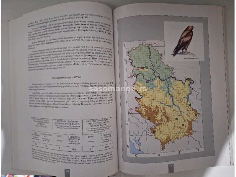 Atlas ptica grabljivica Srbije - Slobodan Puzović