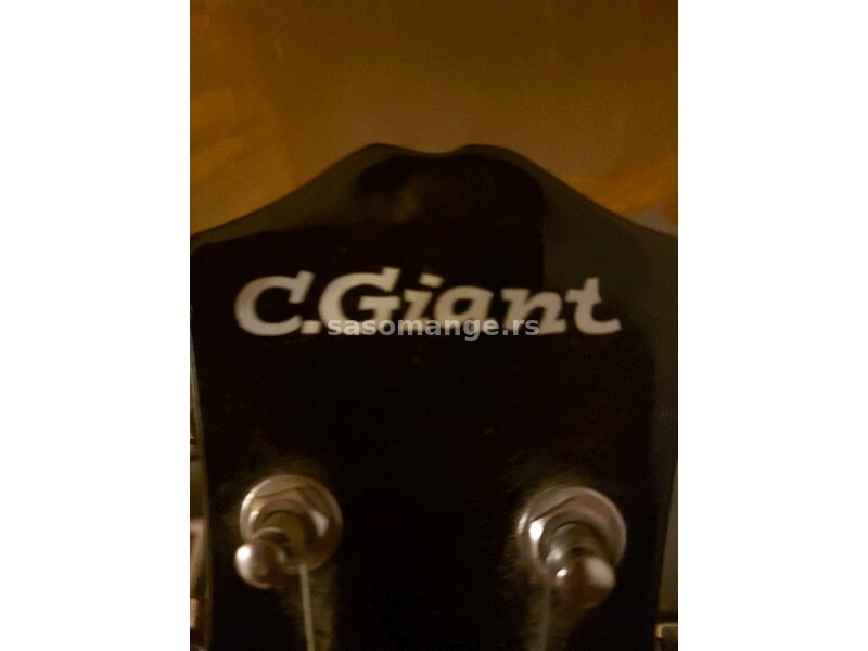Električna gitara C. Giant