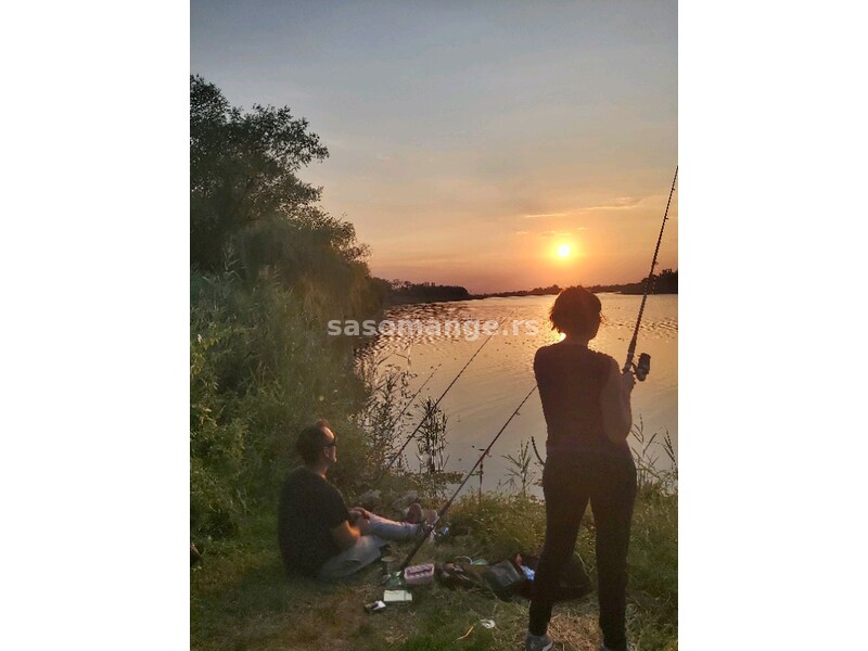 Kuća salonskog tipa sa LOKALOM