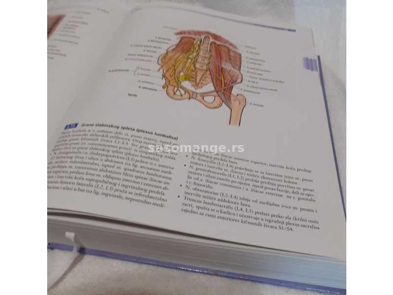 Grantov anatomski atlas — dvanaesto izdanje (novo)