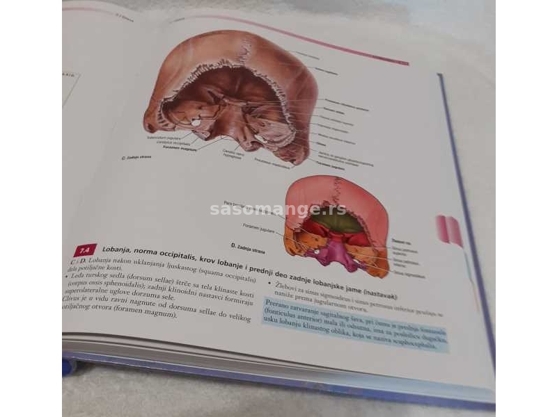 Grantov anatomski atlas — dvanaesto izdanje (novo)