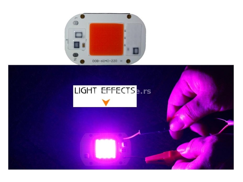 LED CHIP 20W za uzgoj biljaka u zatvorenom prostoru