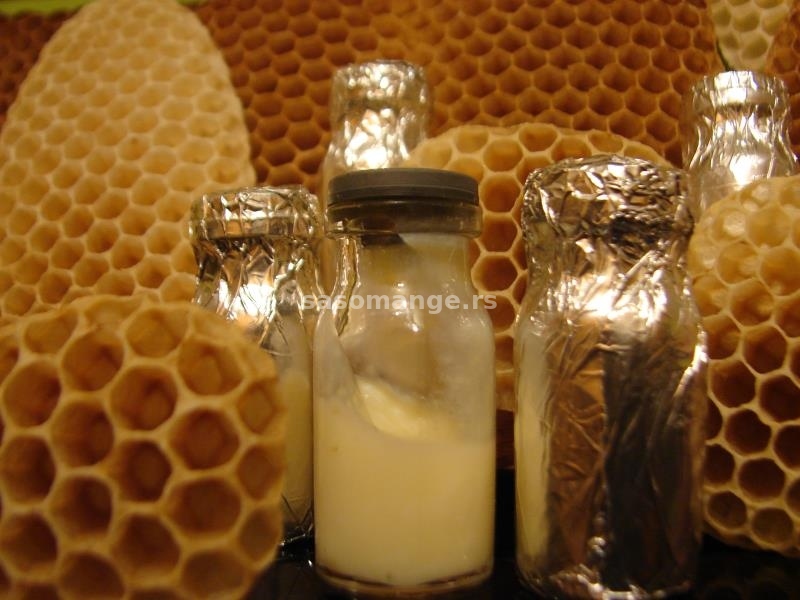 Matični mleč od pčelara