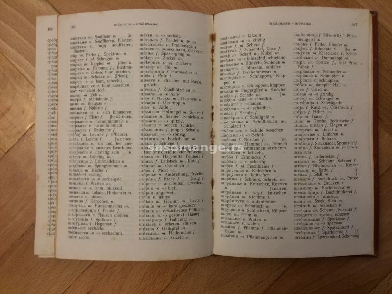 Antikvarna knjiga "Serbisch Deutsches Worterbuch",