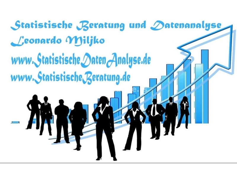 SPSS, AMOS, nVivo, Excel, statistika - Profesionalna Statistička Agencija - Vaš Pouzdan Partner