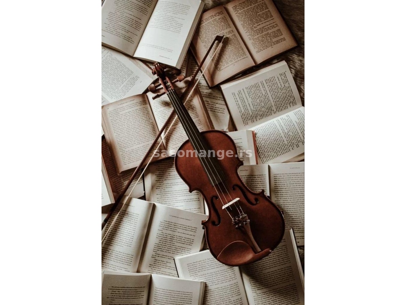Casovi violine i teorije muzike