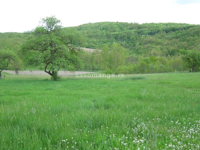 Kuća - Seosko imanje 2,2 ha