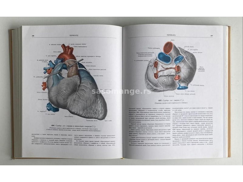 Sineljnikov - Anatomski anatomije čoveka II (ruski)