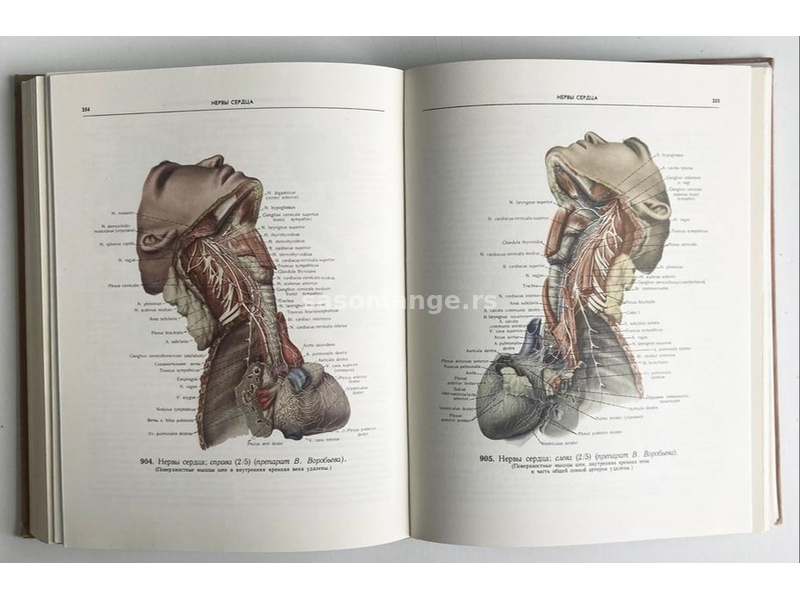 Sineljnikov - Atlas anatomije čoveka III (ruski)