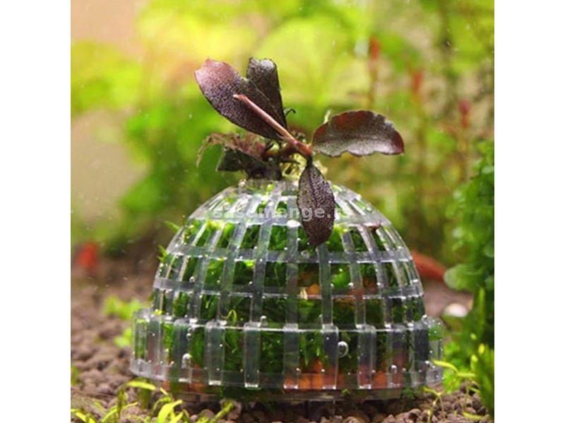 Plastična lopta za mahovinu i akvarijumske biljke