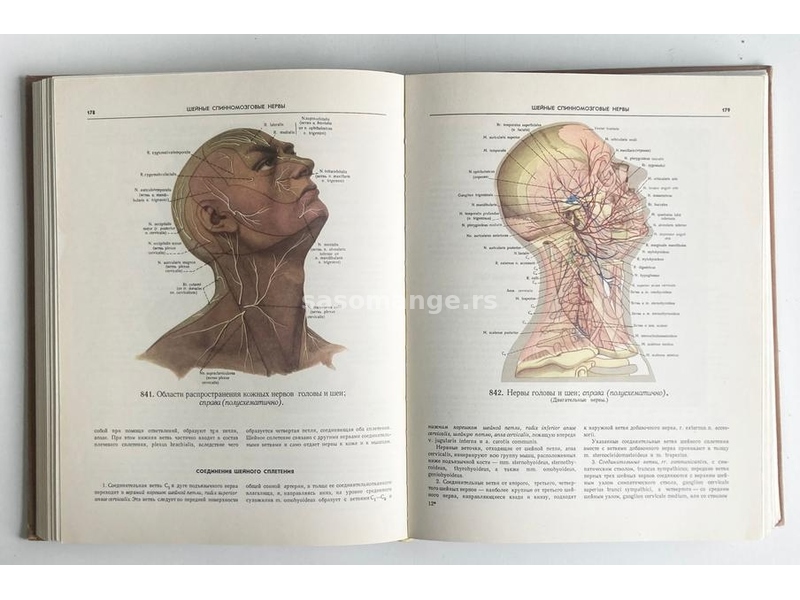 Sineljnikov - Atlas anatomije čoveka III (ruski)