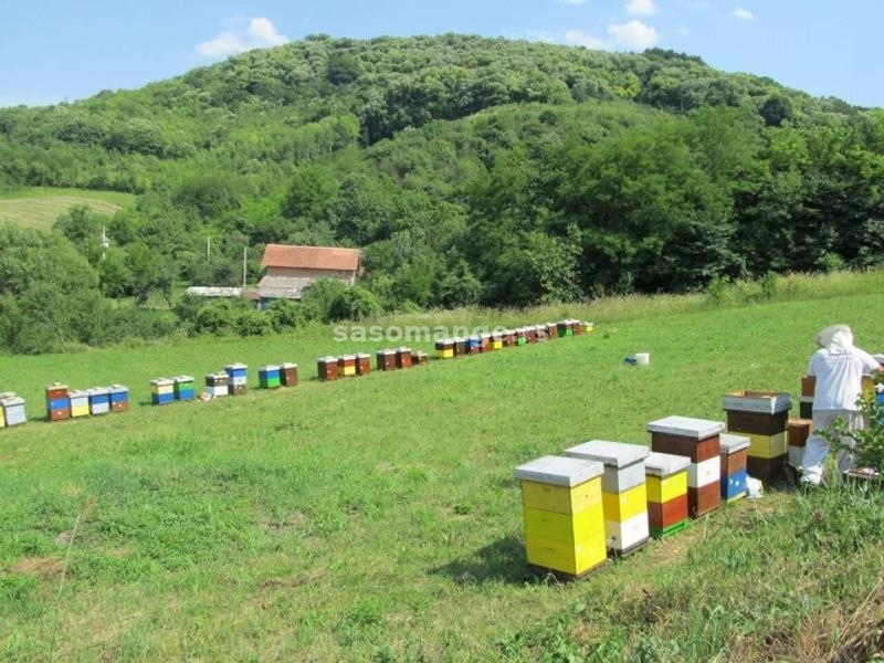 Prodaja meda na veliko i malo