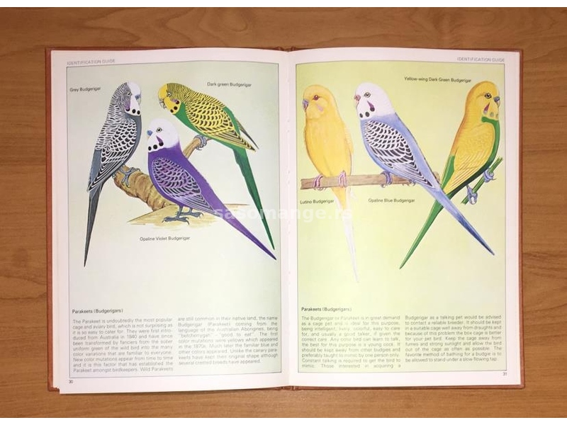 MICHAEL STRINGER - IDENTIFICATION GUIDE TO CAGE AND AVIARY BIRDS