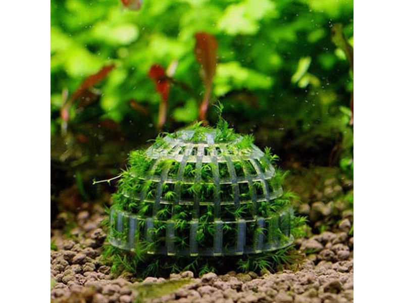 Plastična lopta za mahovinu i akvarijumske biljke