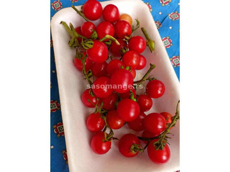 Seme domaći ČERI paradajz, crveni